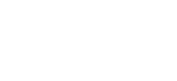 the story